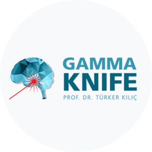 Leadout Dijital - Web Tasarım - 68 Gamma Knife