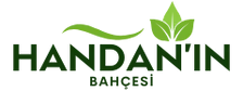 Leadout Dijital - Web Tasarım - 26 Brand Name : Brand Short Description Type Here.
